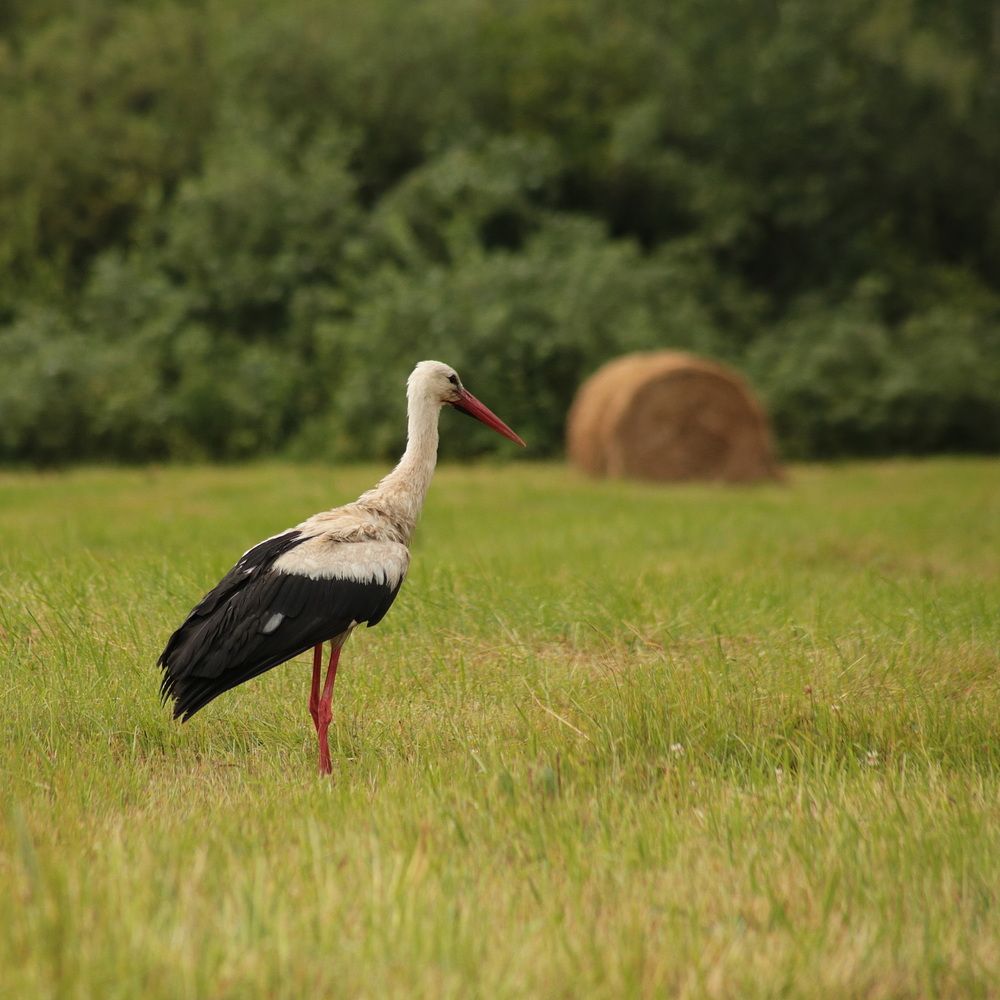 Photograph by Александр Кожевников