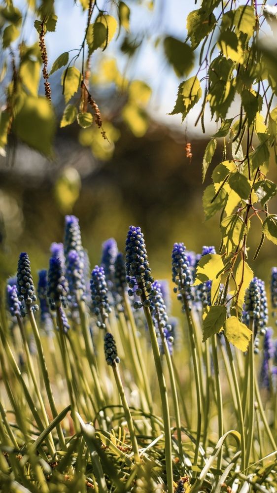 Photograph by Юлия Сидорова