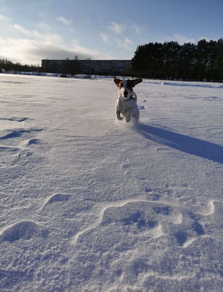 Photograph by Юлия Горелова