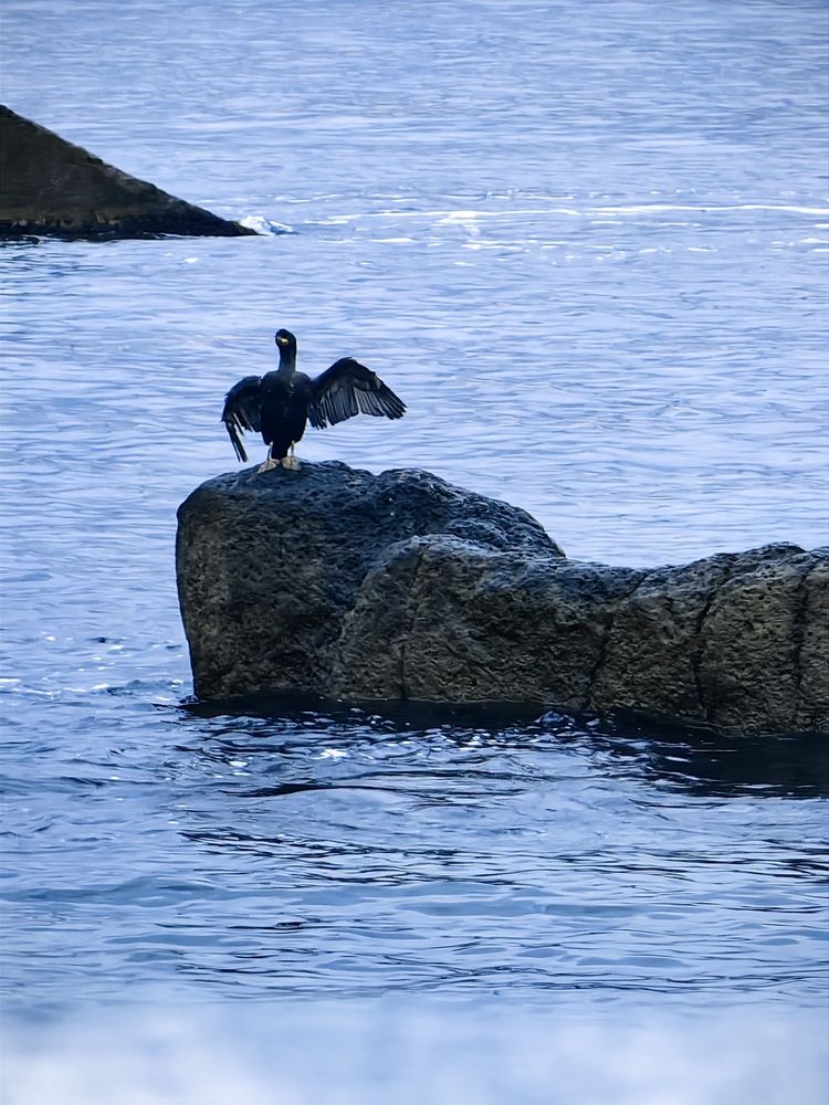 Photograph by Юлия Горелова