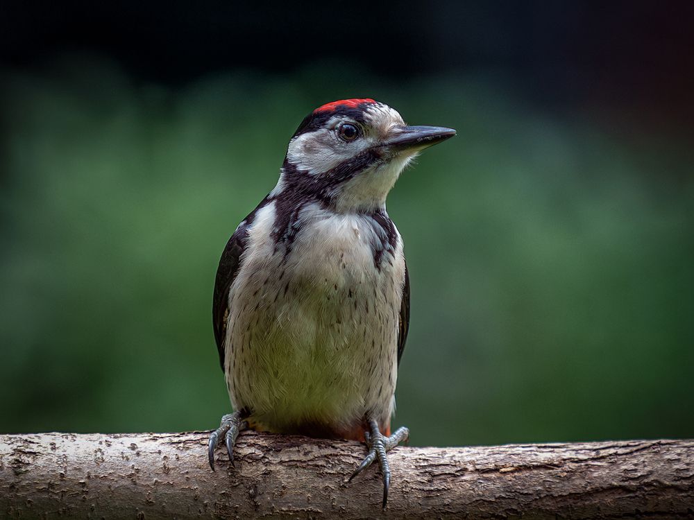 Photograph by Юрий Михайлович Головкин