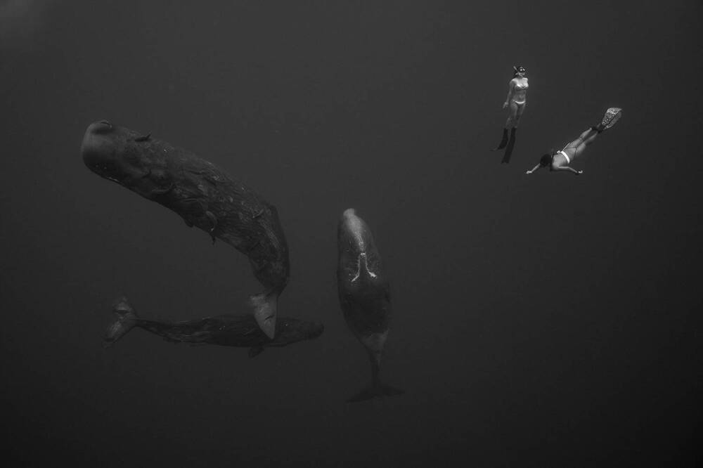 Photograph by PEREPECHAEV PAVEL