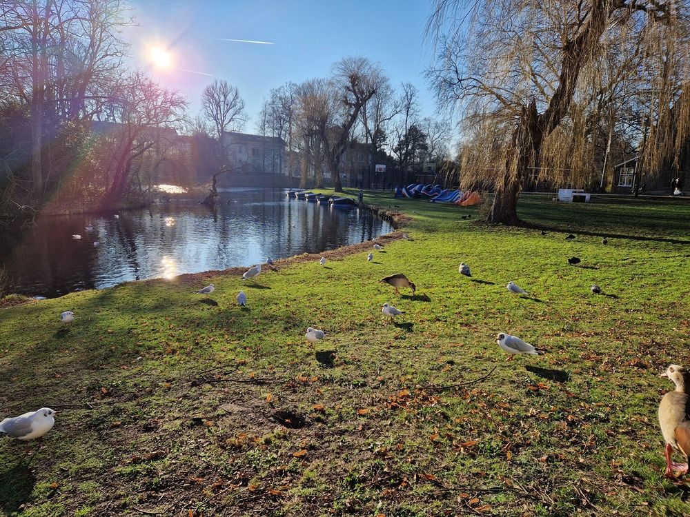 Фотография автора Inessa Botasheva