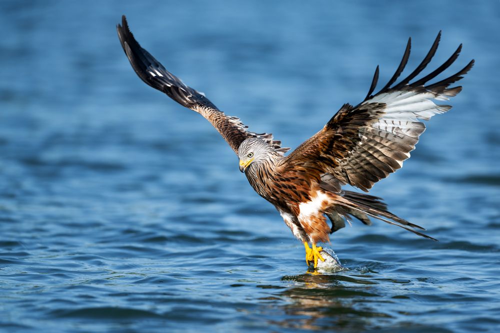 Photograph by Ruzhdi Ibrahimi