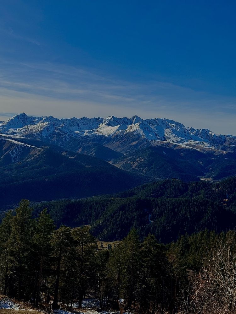 Фотография автора Марина Черникова