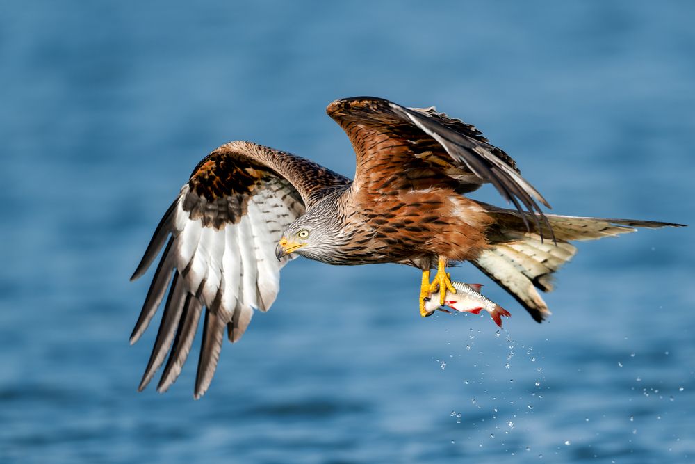 Photograph by Ruzhdi Ibrahimi