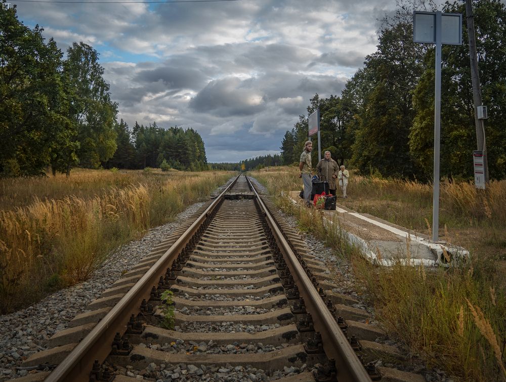 Photograph by Елена Тестова