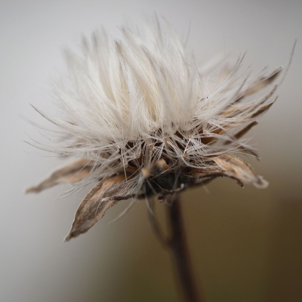 Photograph by Piotr