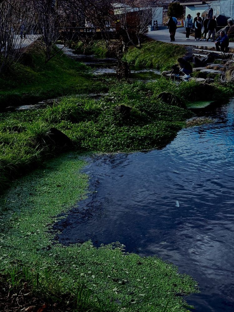 Photograph by Алла Киселева