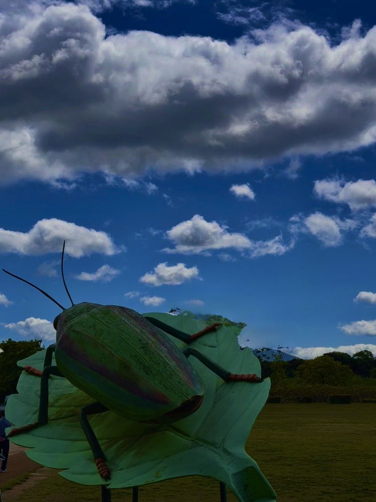 Photograph by Алла Киселева