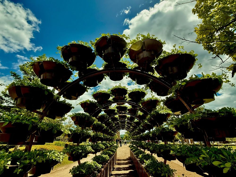 Photograph by Алла Киселева