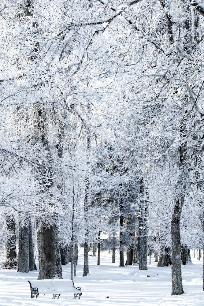 Photograph by Olga Asson