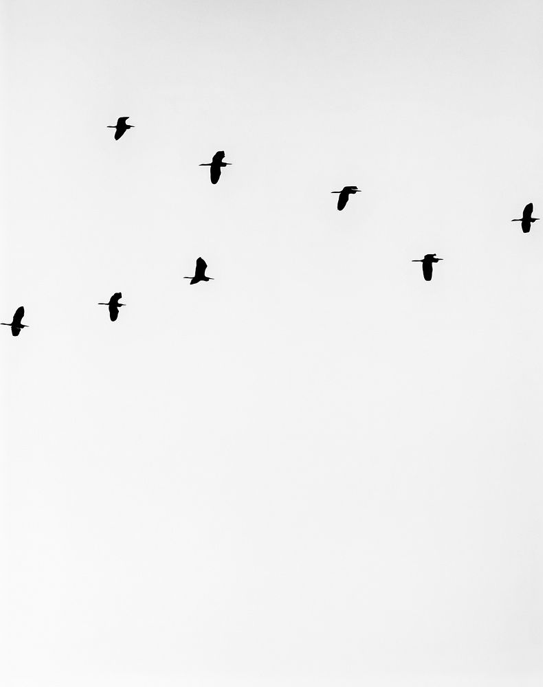 Фотография автора Константин Бокарев