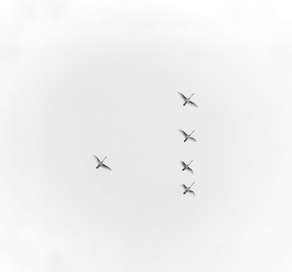 Фотография автора Константин Бокарев