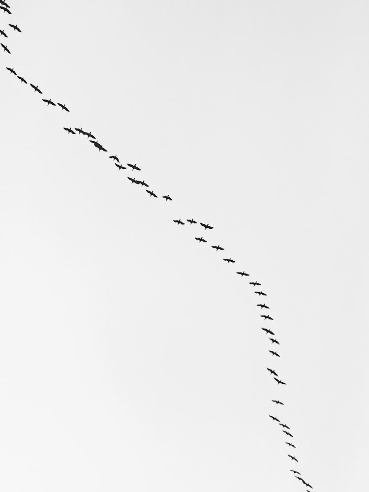 Фотография автора Константин Бокарев