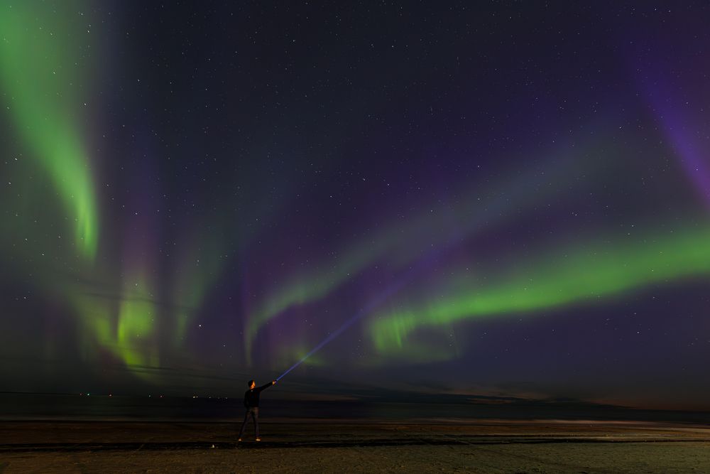 Фотография автора Никита Павлов