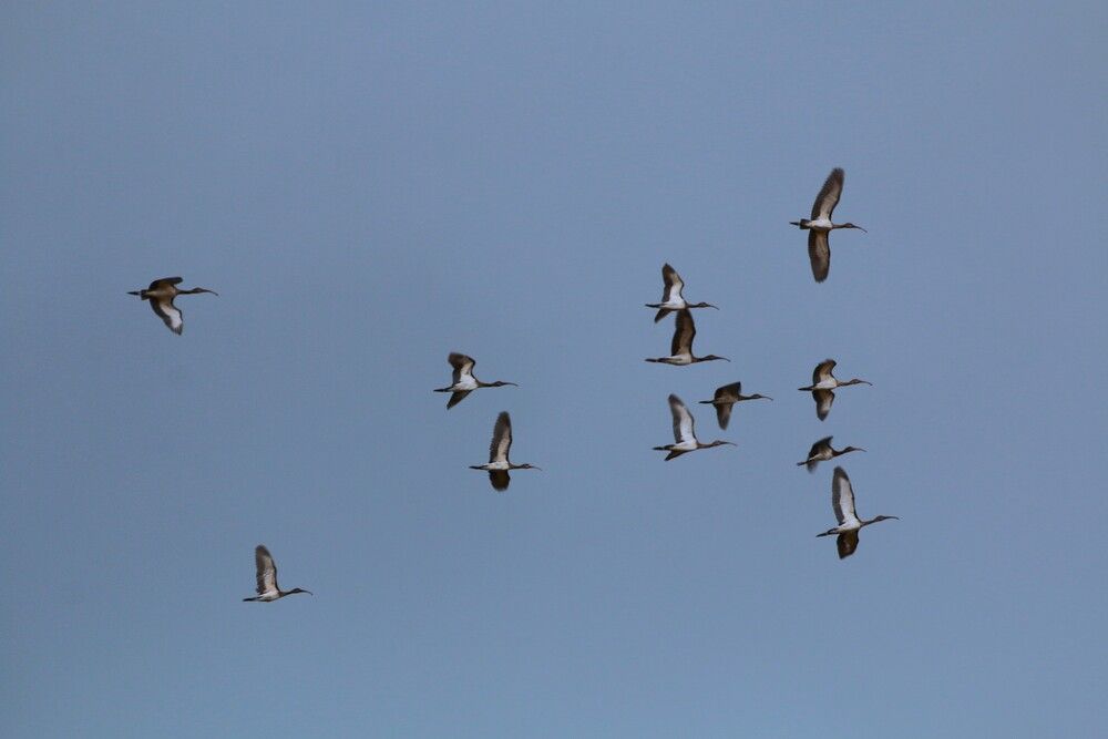 Photograph by Gr Marie