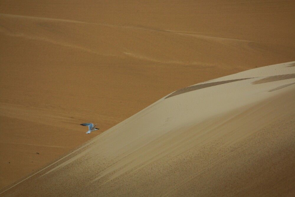 Photograph by Gr Marie