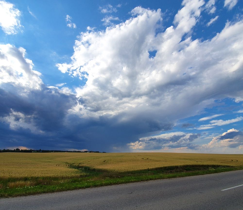 Photograph by Олег Черноокий