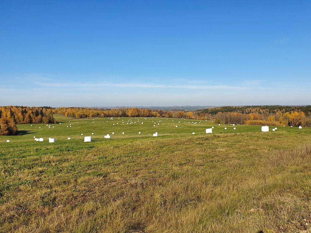 Photograph by Олег Черноокий