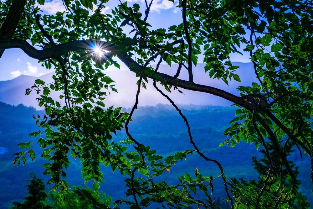 Photograph by Marina Mossiy