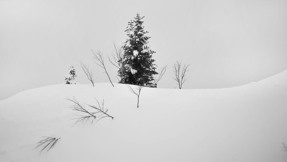 Photograph by Станислава Войцеховская