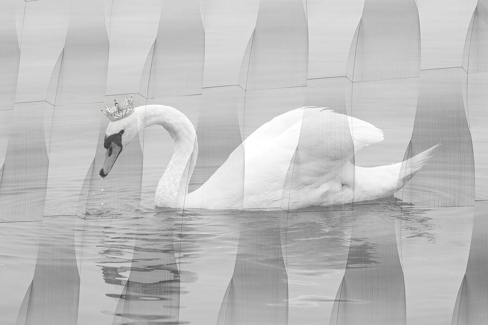 Photograph by Матюхина Наталья