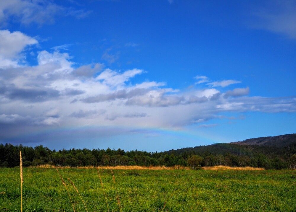 Фотография автора Olena Vorotyntseva