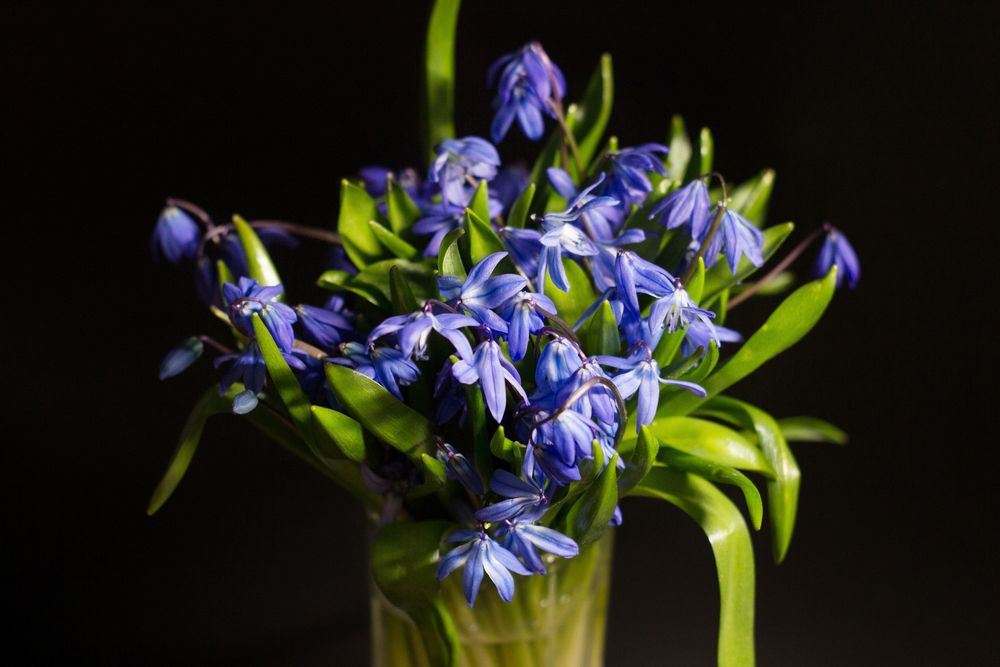 Photograph by Елена Ибрагимова