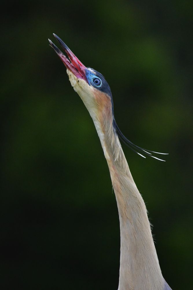 Фотография автора Cecilia Ducrey