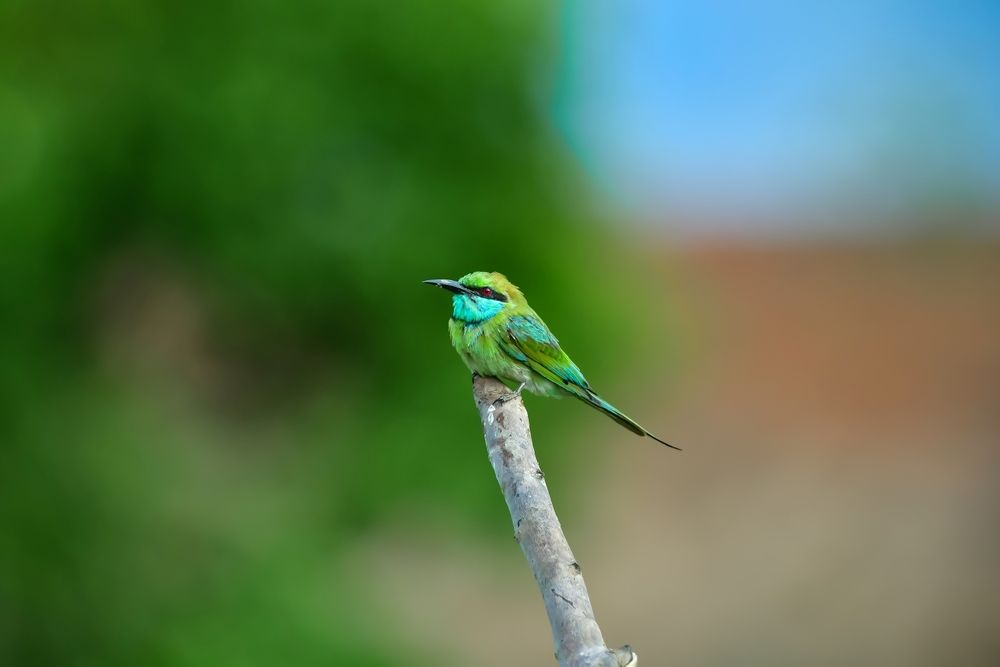 Photograph by nimalan subramaniam