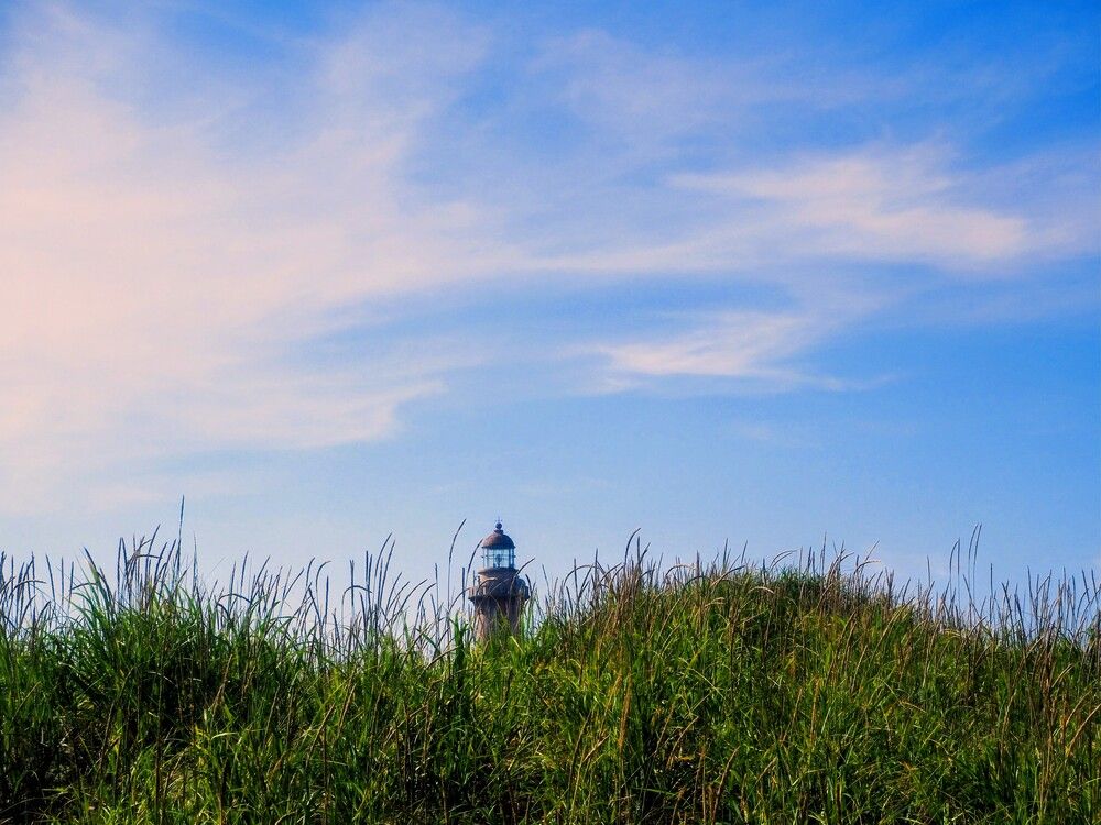 Фотография автора Olena Vorotyntseva