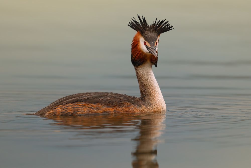 Photograph by TORNIKE PAPKIAURI