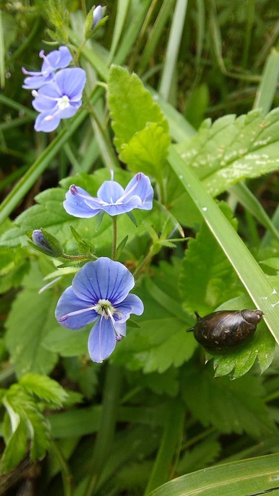 Photograph by Наталья Филянина