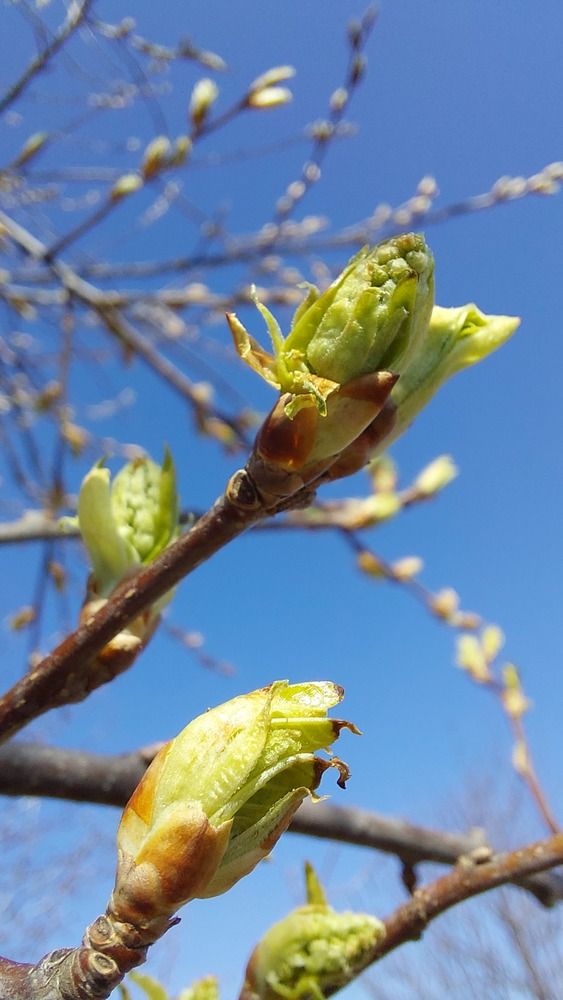 Photograph by Наталья Филянина