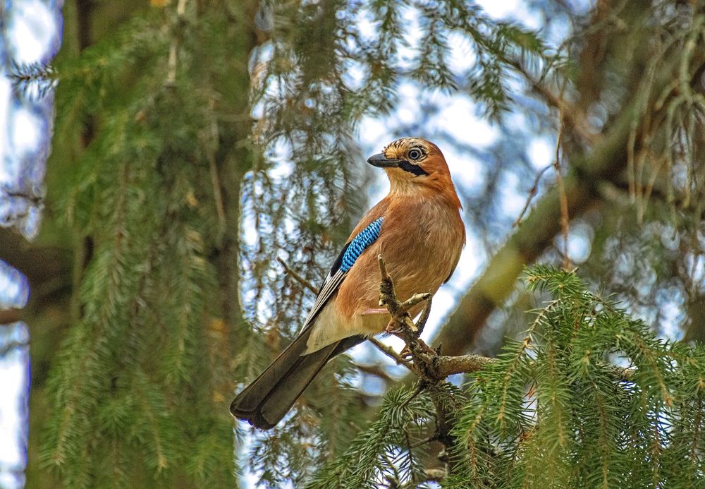 Photograph by Алексей Сиваков