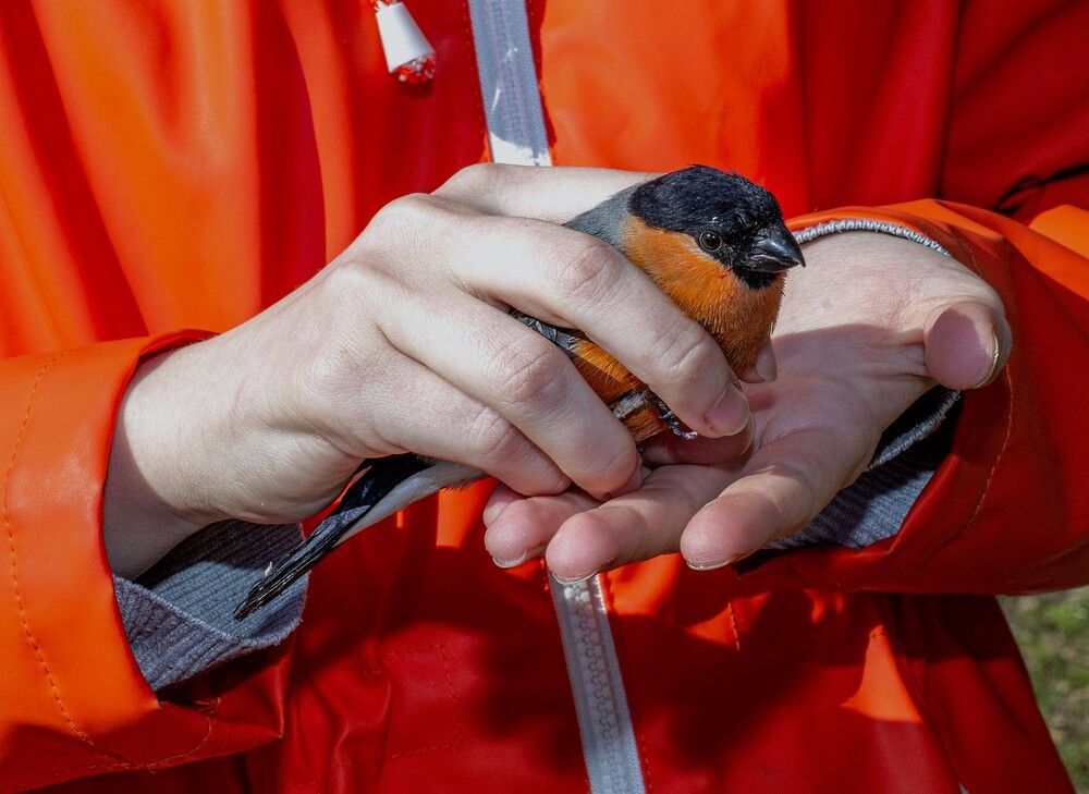 Photograph by Алексей Сиваков