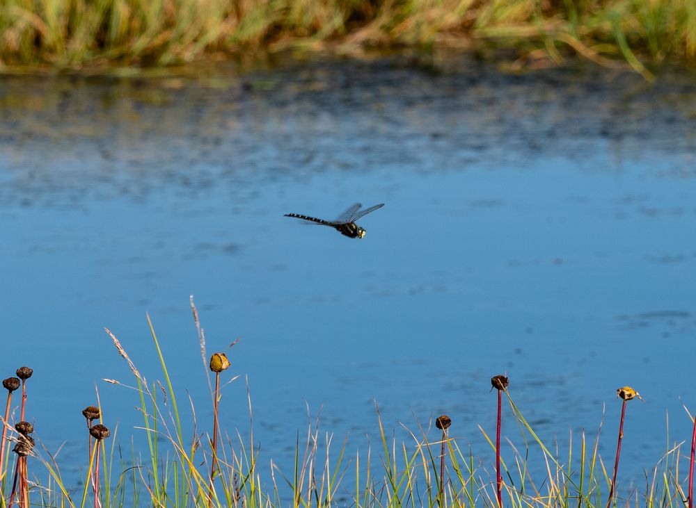 Photograph by Хазан Сергей