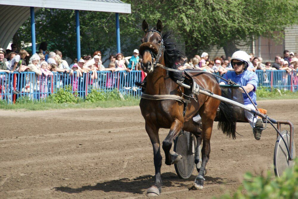 Photograph by Nadin Gaaze