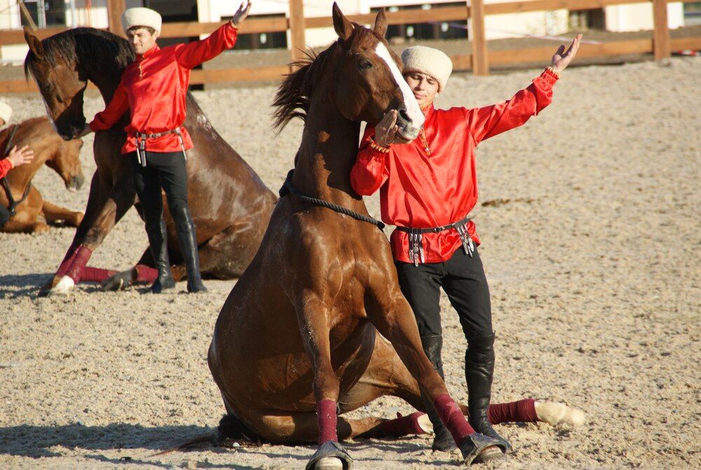 Photograph by Nadin Gaaze