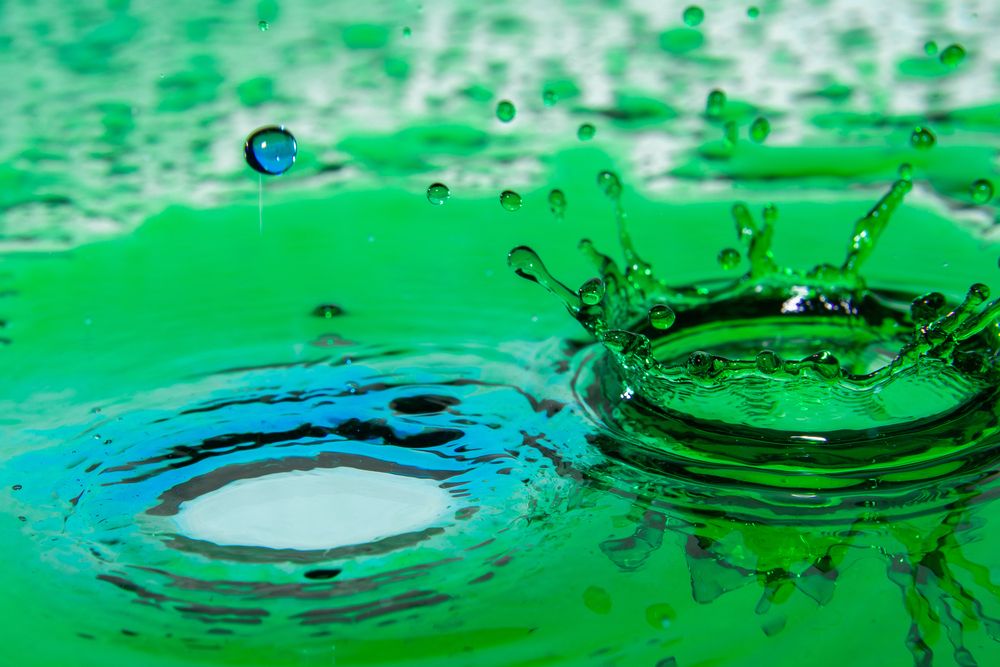 Фотография автора Павел Ващилов