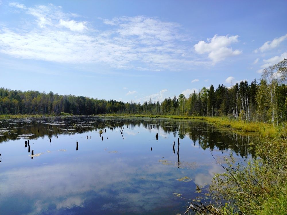Photograph by Анастасия Горбачева