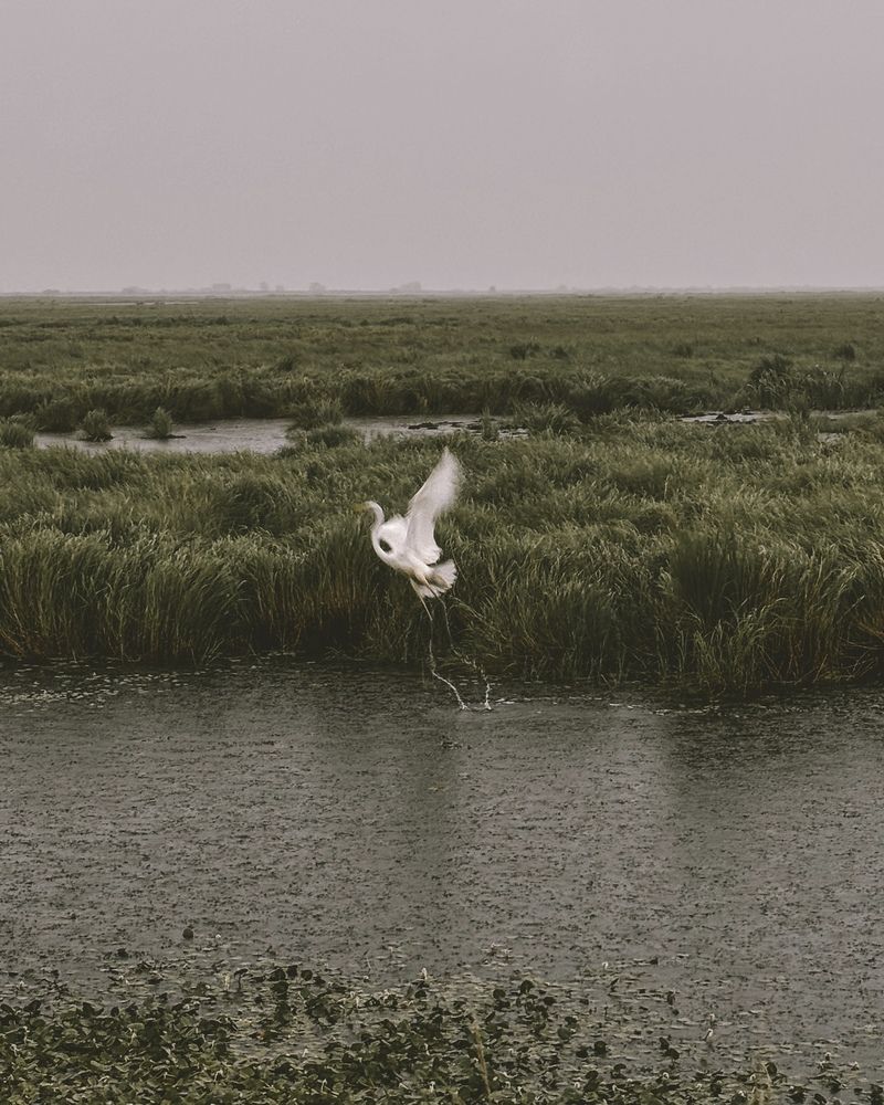 Photograph by Юлия Куклина