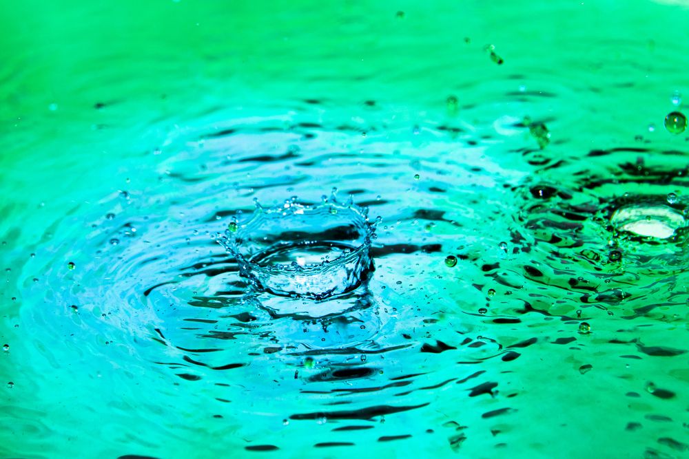 Фотография автора Павел Ващилов