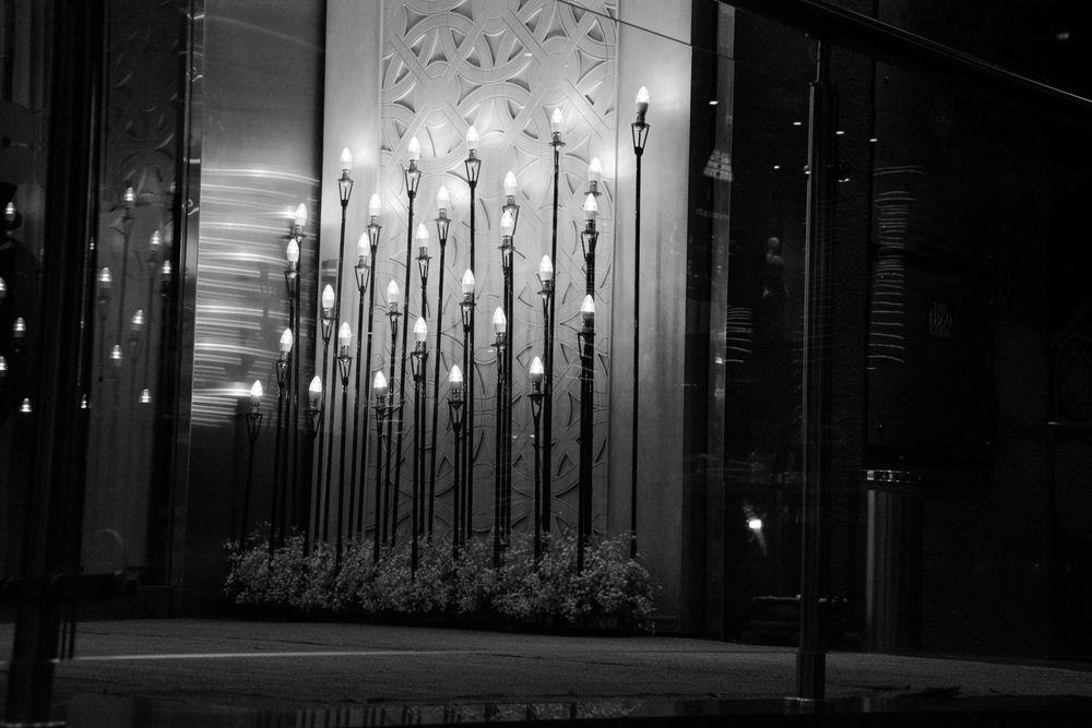 Photograph by Murugan M