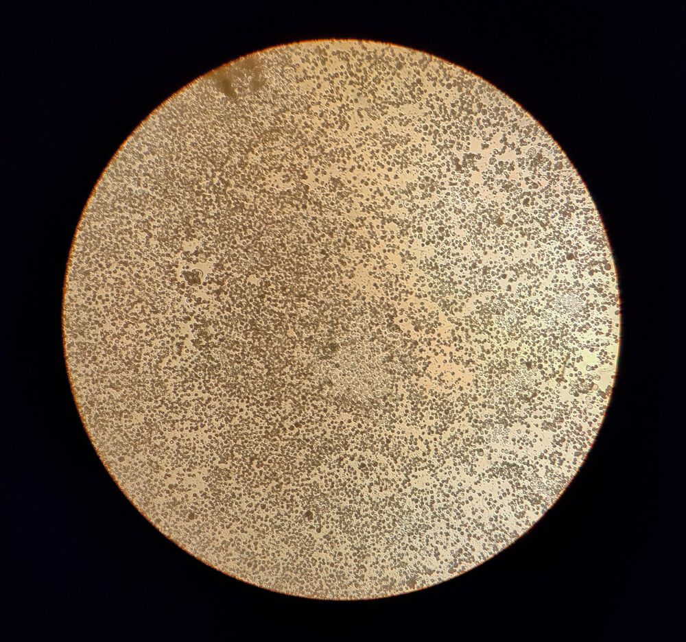 Photograph by Pavel Milovankin