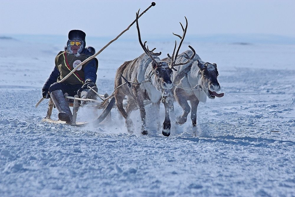 Photograph by Александр Велигура
