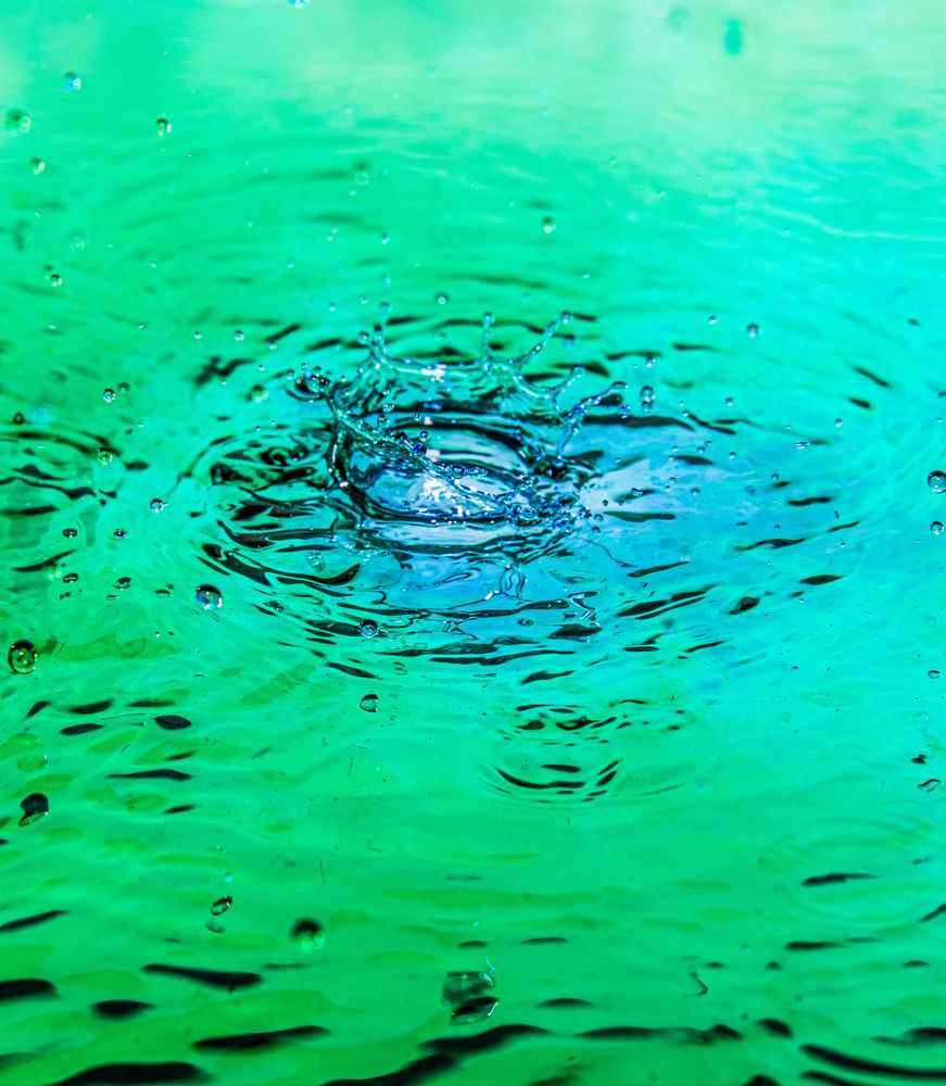 Фотография автора Павел Ващилов