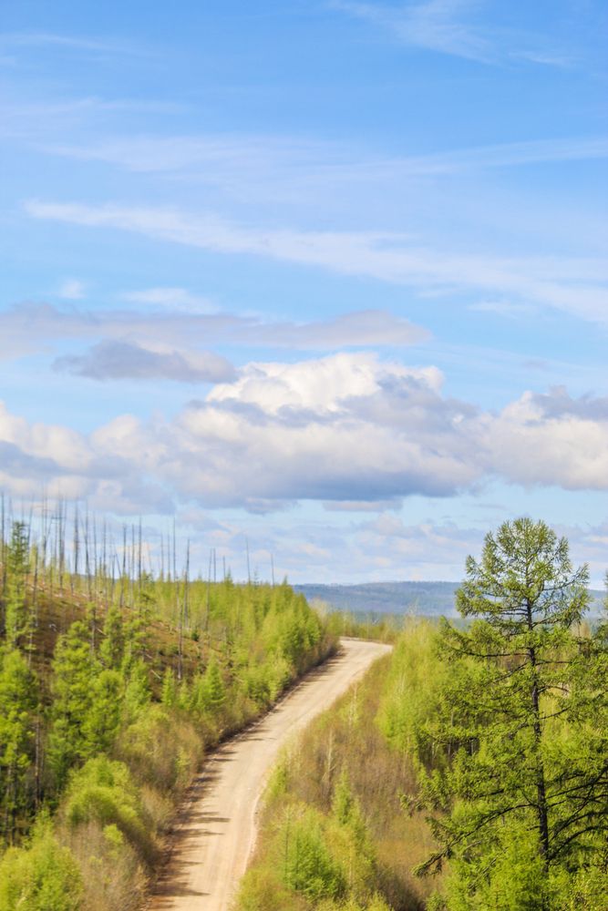 Photograph by Михаил Мархинин