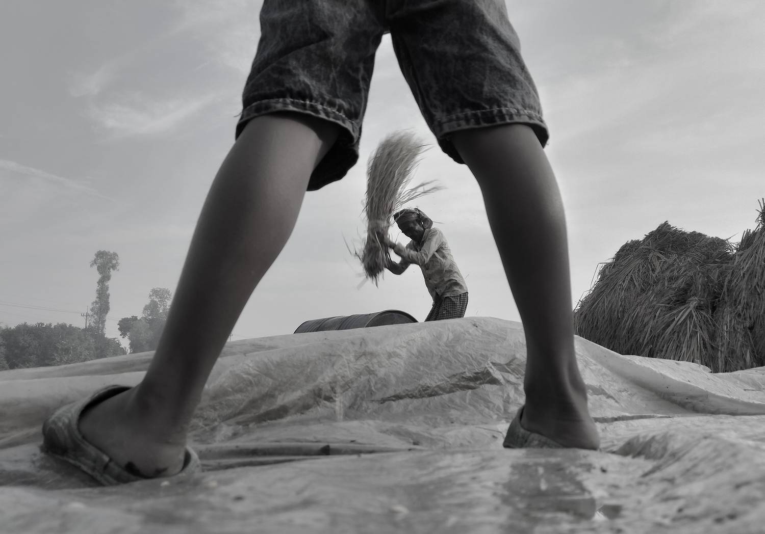 Фотография #13180134